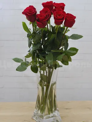 Букет из 59 веток кустовой пионовидной розы купить в Краснодаре с доставкой