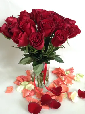Розовые розы 5 шт. купить за 650 руб. в Пензе с доставкой