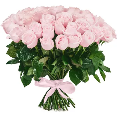 Кустовые пионовидные розы Бомбастик - купить в Москве | Flowerna
