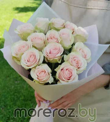 Букет роз с эвкалиптом #159 - Доставка цветов Феодосия - Цветы Oliva's