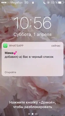 1 апреля: смс-розыгрыши на День смеха | podrobnosti.ua