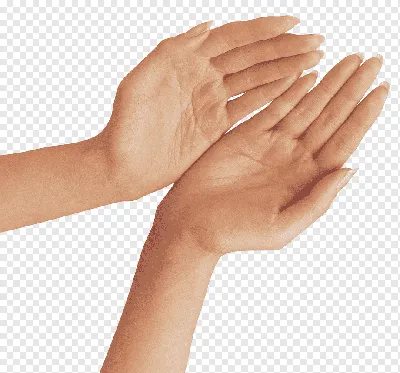 Рука Жесты На Белом Фоне — стоковые фотографии и другие картинки Тыльная  сторона руки - Тыльная сторона руки, Белый фон, Махать - iStock
