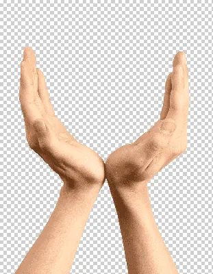 Рука сжатая в кулак, изолирована на белом фоне Stock Photo | Adobe Stock