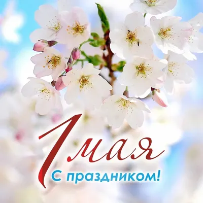 Какие праздники отмечаем с 1 по 10 мая 2021 года? / В этом месяце / Журнал  Calend.ru