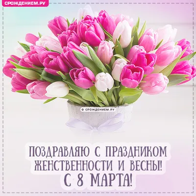 Красивая открытка с 8 марта, с букетом тюльпанов и пожеланием • Аудио от  Путина, голосовые, музыкальные