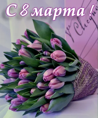 Прикольная открытка Любимой с 8 марта, с плюшевым мишкой • Аудио от Путина,  голосовые, музыкальные
