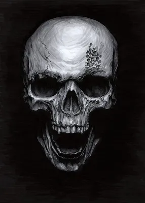 Татуировки с черепами иллюстрация вектора. иллюстрации насчитывающей  хэллоуин - 33821733