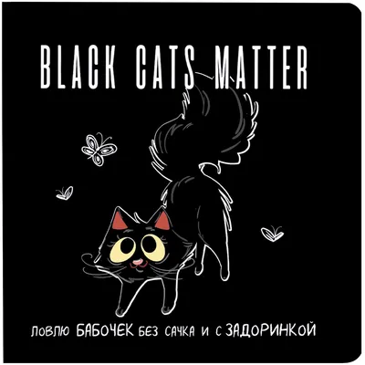 Не такие уж и несчастливые. 5 примет с черными котами, которые привлекают  деньги и удачу | Домашняя фауна | Дзен
