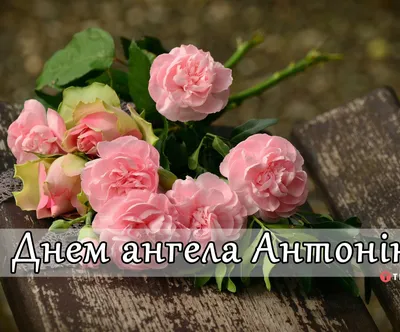 День ангела Антонины 2020: поздравления, смс, картинки и видео | OBOZ.UA