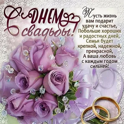 Светлану и Дмитрия с Днём бракосочетания! Форум GdePapa.Ru