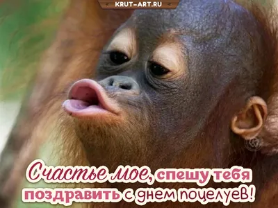С днем поцелуев 2023 - красивые картинки на украинском - Lifestyle 24