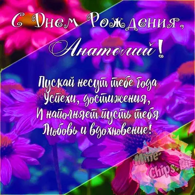 Подарить красивую открытку с днём рождения Анатолию онлайн - С любовью,  Mine-Chips.ru