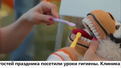 Торт Стоматолог №306 по цене: 2500.00 руб в Москве | Lv-Cake.ru