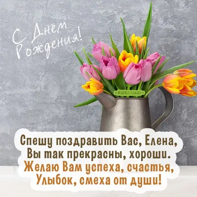 С днем рождения, Ольга Матвеева! — Вопрос №415999 на форуме — Бухонлайн