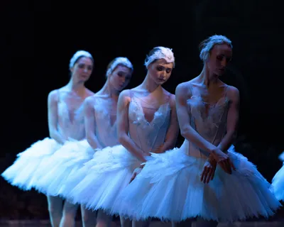 С Днем Танца! | Ballet Magazine