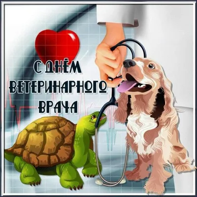 День ветеринара 2023 - открытки и поздравления с праздником — УНИАН
