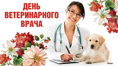 Поздравляем с днем ветеринарного работника | Государственная ветеринарная  служба Смоленской области