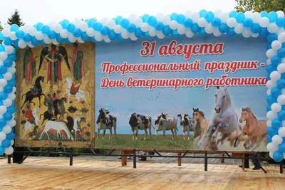 27 ноября на Кубани поздравляют работников ветеринарной службы