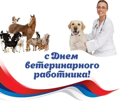 С Днём ветеринарного работника! » Сайт Управления ветеринарии  Карачаево-Черкесской Республики