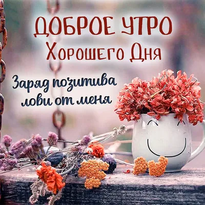 Открытки с пожеланиями доброго утра и хорошего дня: красивые фотографии -  pictx.ru