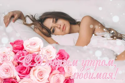 Доброго осеннего утра, спящая красавица! — Скачайте на Davno.ru