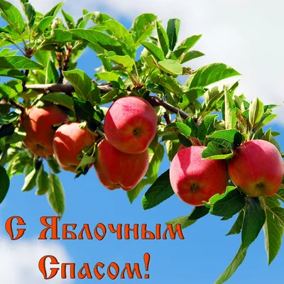 Божественные новые поздравления в Яблочный Спас 19 августа в стихах и прозе  для россиян