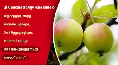 ГУП РК \"Крымтроллейбус\" | С праздником! С яблочным спасом!