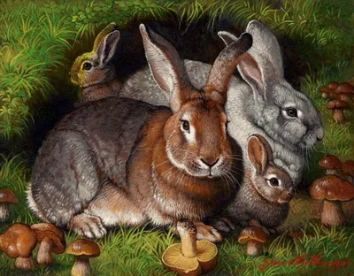 Роспись фарфоровых тарелок. Зайцы (кролики) | Мастерская художественной  росписи \"Артфлера\"