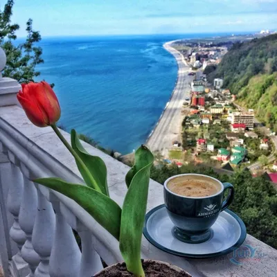 Типичный Краснодар - Доброе утро на берегу Черного моря ⠀ Фото:  @angsergeevna | Facebook