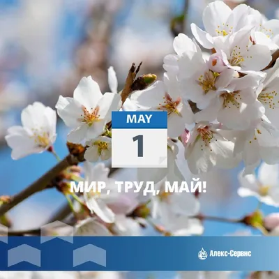 Поздравляем с наступающими майскими праздниками! — Колесо.ру на DRIVE2