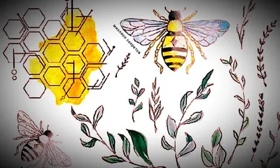 Этикетка \"Мёд натуральный с пчелками\" (D50, 100 штук) | Магазин  пчеловодства \"Пчеловод КОМ\"