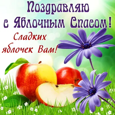 В Брянске состоится праздник «Яблочный Спас» | РИА «Стрела»