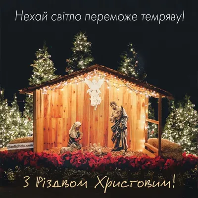 Привітання з Різдвом - картинки і листівки - Главред