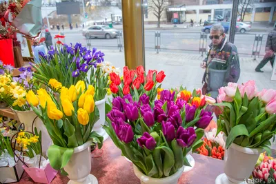 Не забудьте заплатить налоги! Как торговать цветами на 8 Марта и не  заработать штраф - DZR.BY