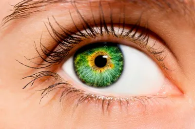 Девушка с зелеными глазами, светлыми…» — создано в Шедевруме