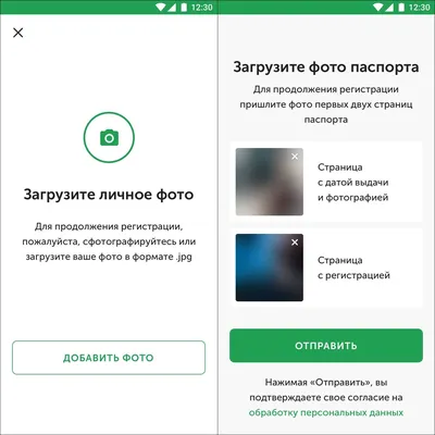 Как скопировать текст с фото в Ватсапе на Айфоне | AppleInsider.ru