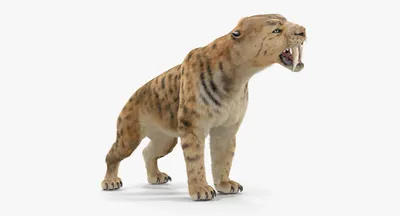 Купить Фигурка \"Саблезубый тигр\", 12,5 см, Collecta в интернет-магазине Мир  динозавров