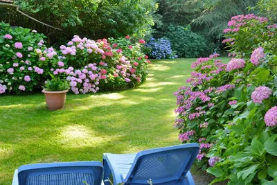 Магия сада: Хочешь быть счастливым — посади себе сад! — Загородная  недвижимость