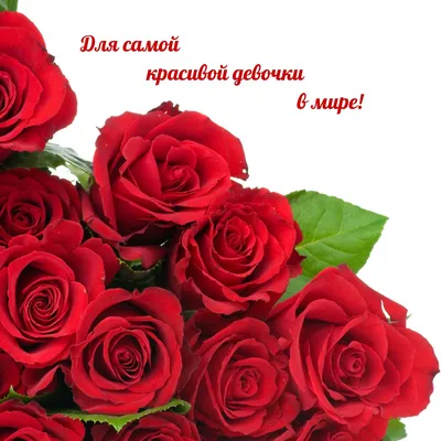Открытка с рамкой из роз для самой красивой именинницы! — Скачайте на  Davno.ru
