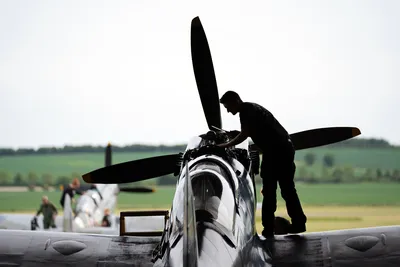 Эхо войны: Боевые самолеты Второй мировой, найденные поисковыми отрядами
