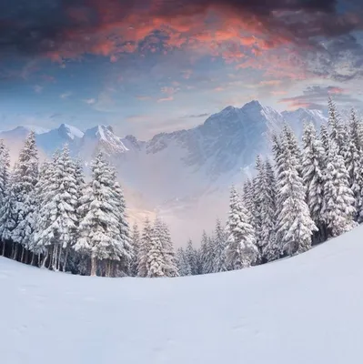 Самые красивые зимние картинки (50 лучших фото)