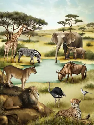 Августинович Юлия - Африка, саванна | African animals, Animals, Jungle  animals
