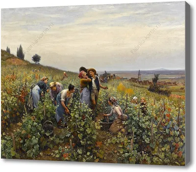 Рисунок Сбор урожая №212666 - «УДАЧА на ДАЧЕ!» (31.01.2024 - 17:41)