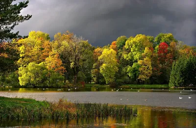 осенний пейзаж на озере с березовым лесом на берегу, Россия, Урал, сентябрь  Stock Photo | Adobe Stock