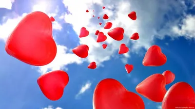 Сердце в день Святого Валентина кота Стоковое Фото - изображение  насчитывающей киска, валентайн: 168925430