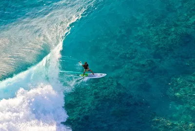 Обои серфинг, океан, волны, вид сверху картинки на рабочий стол, фото  скачать бесплатно
