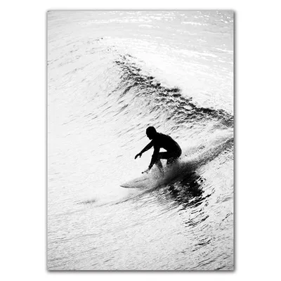серфинг в Австралии занятия серфингом на пляже Фото Фон И картинка для  бесплатной загрузки - Pngtree