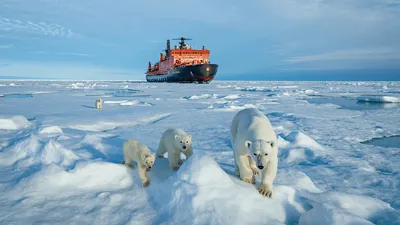 Арктическая экспедиция «Северный полюс-42» может начаться летом-осенью 2024  года