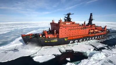 По пути на Северный полюс. Взгляд натуралиста в туманную погоду –  GoArctic.ru – Портал о развитии Арктики