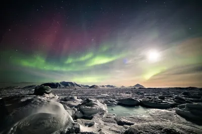В Северном Ледовитом океане официально открыли дрейфующую станцию \"Северный  полюс-41\" - Российская газета